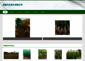 Cdfanxuan.com thumbnail