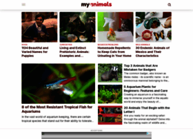 Myanimals.com thumbnail