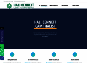 Selcuklucamihalisi.com thumbnail