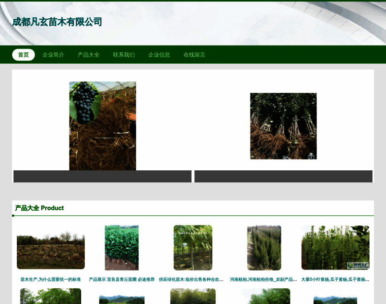 Cdfanxuan.com thumbnail