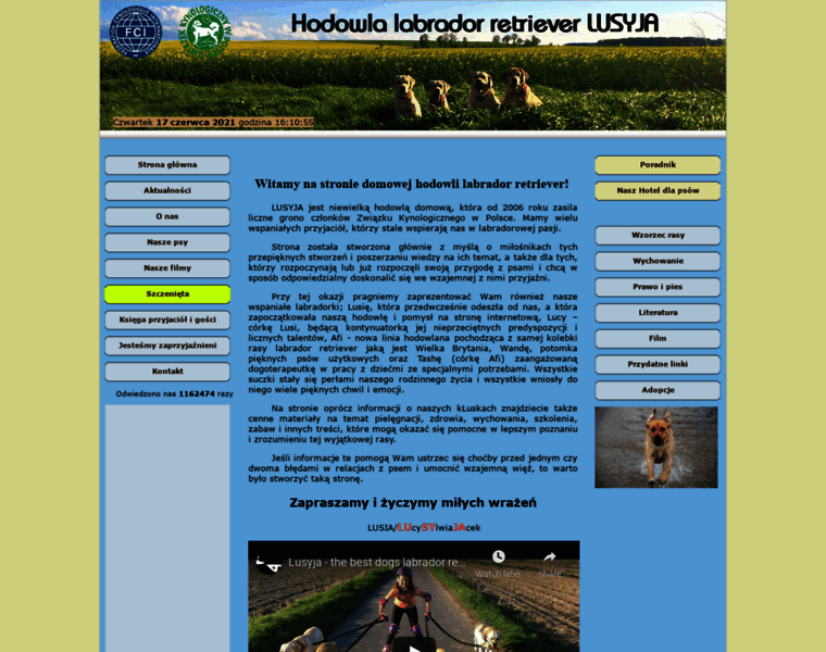 Lusyja.pl thumbnail