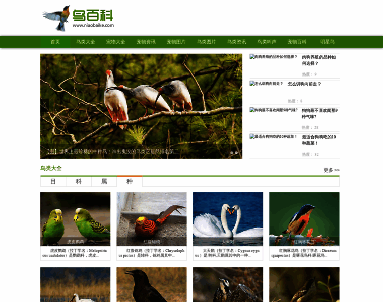 Niaobaike.com thumbnail Niaobaike.com thumbnail