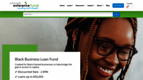 What Coloradoenterprisefund.org website looked like in 2023 (2 years ago)