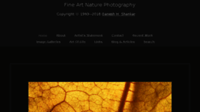 What Naturelyrics.com website looked like in 2018 (6 years ago)
