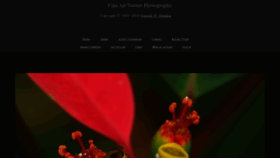 What Naturelyrics.com website looked like in 2019 (5 years ago)